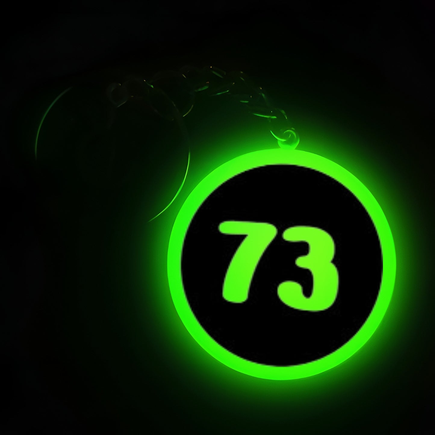 "73" Logo I Glow In Dark I Numbers.3